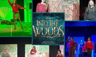 Into the Woods: A 'Forest' for Success! photography